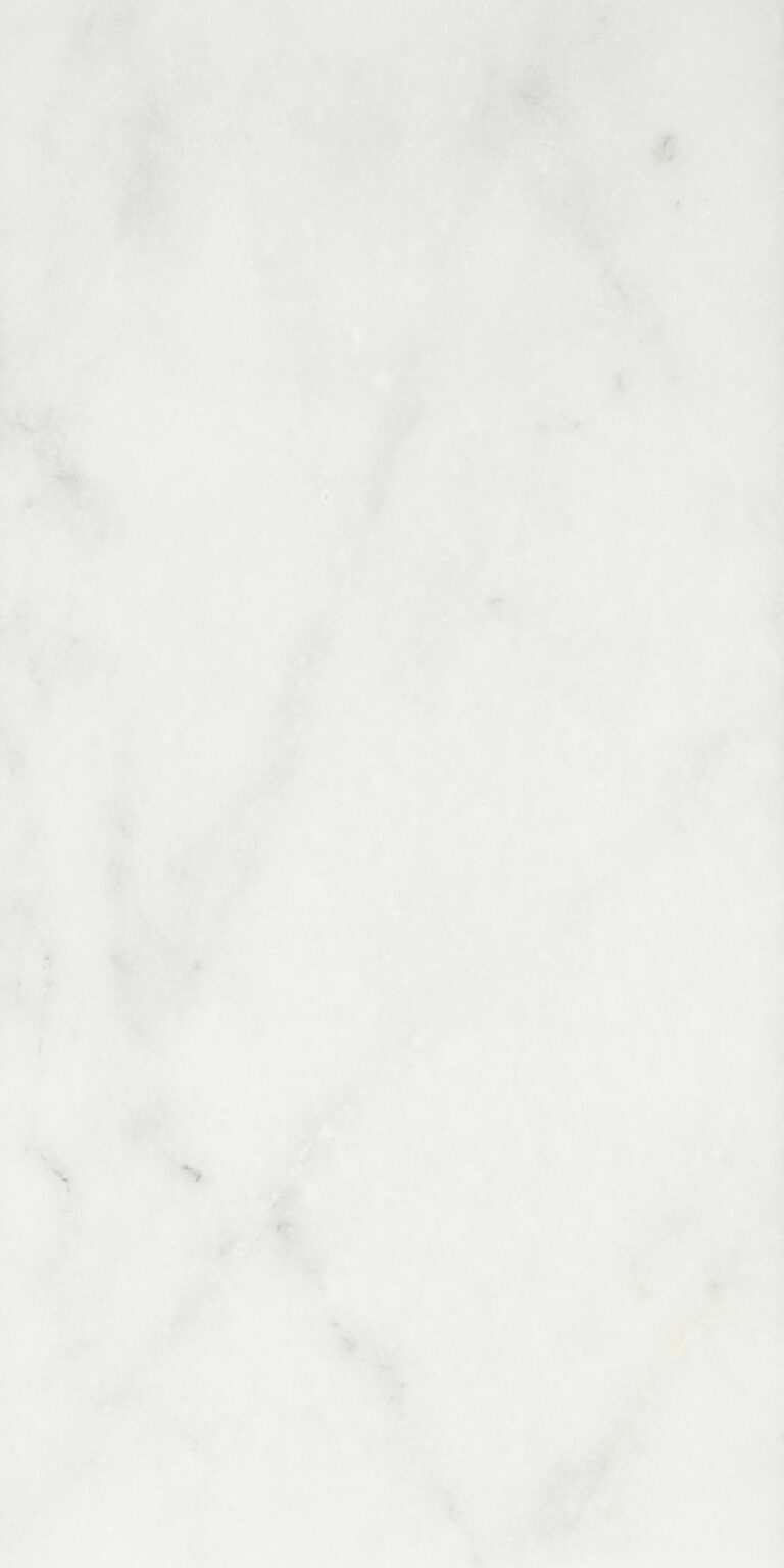 calacatta-honed-marble-tile-3