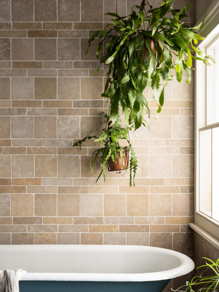 Dijon Blend Tumbled Limestone-1