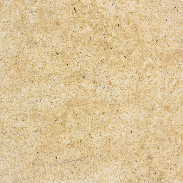 Seashell Vein Tumbled Limestone -Swatch