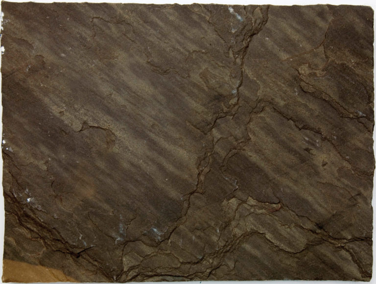 Fossil Black Flag Riven Tile