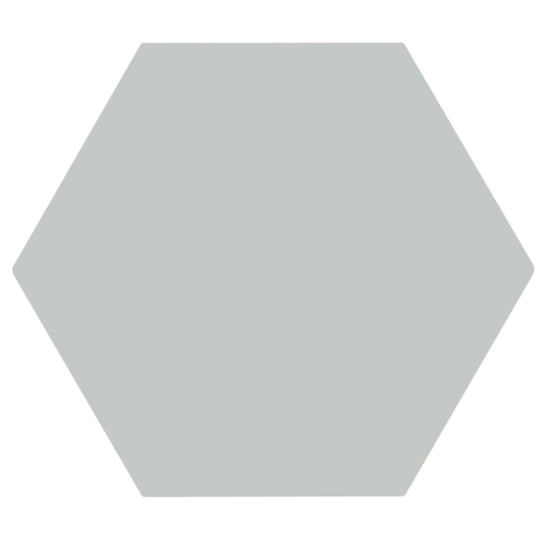 Oska-Lichen-Matt-Porcelain-Hexagon-Tile-Swatch
