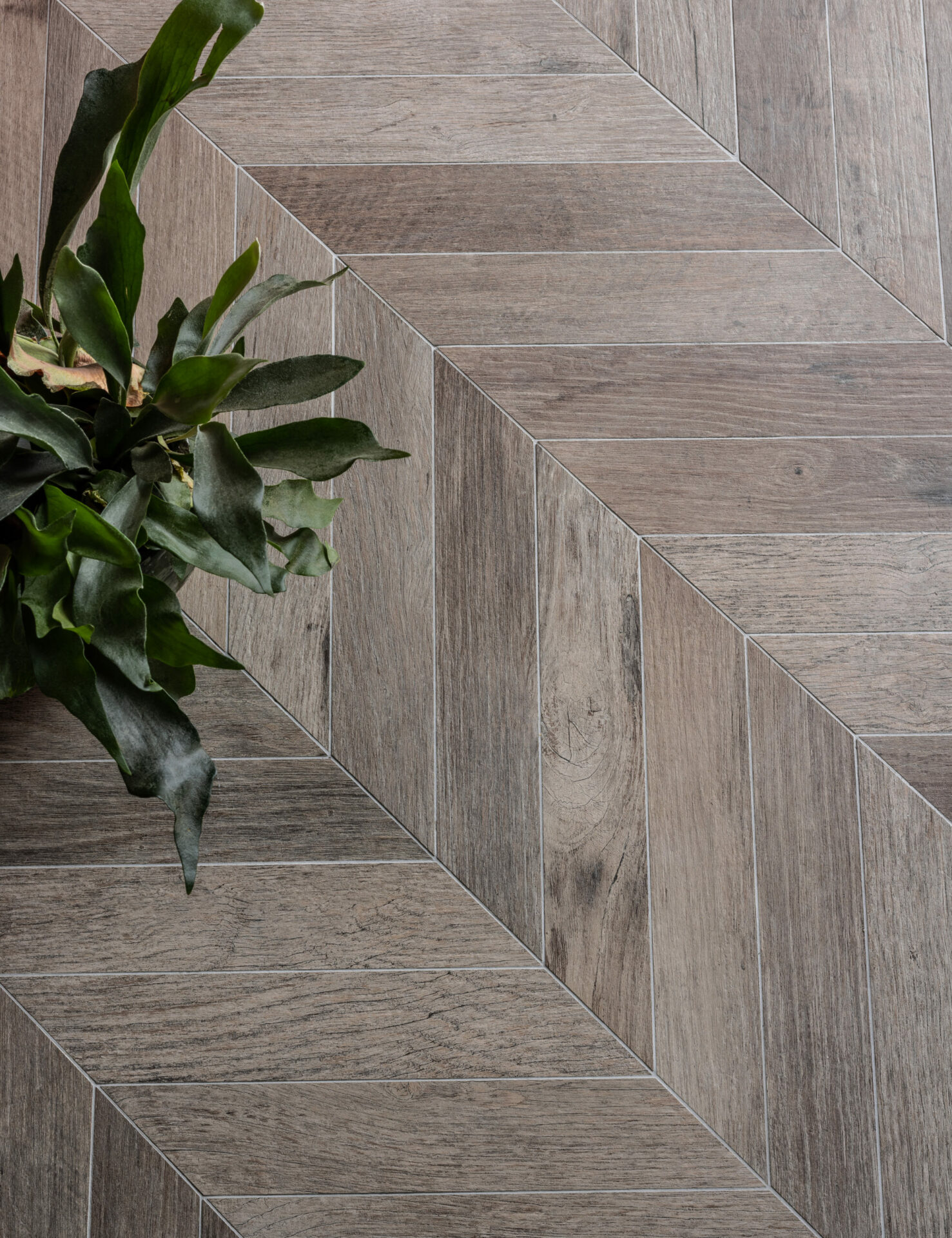Wildwood Dark Matt Wood Effect Porcelain Chevron Tile