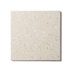 Terrazzo Ivory Honed